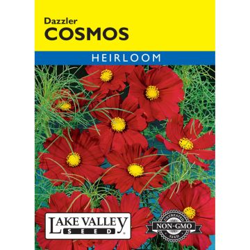 Cosmos 'Dazzler' Heirloom