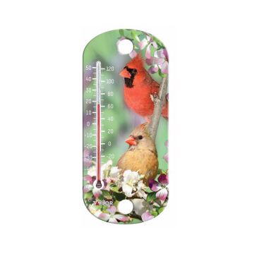 Taylor Bird Design Tube Thermometer Plastic Multicolored