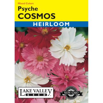Cosmos Mix 'Psyche' Heirloom