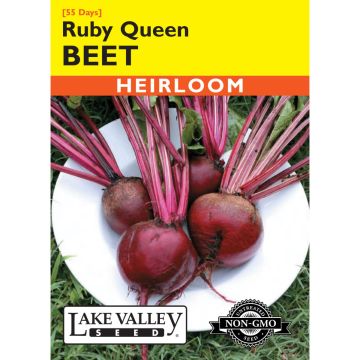Beta, Beet 'Ruby Queen' Heirloom