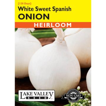 Allium, White Onion (Long Day) 'Sweet Spanish' Heirloom