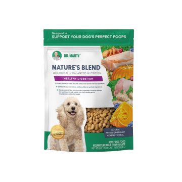 Dr. Marty Nature's Blend Healthy Digestion, 16 oz.