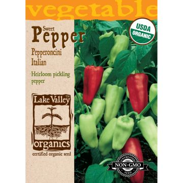 Capsicum, Sweet Pepper 'Pepperoncini Italian' Organic Heirloom