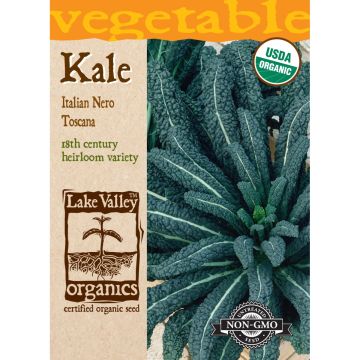 Brassica, Kale 'Italian Nero Toscana' Organic Heirloom