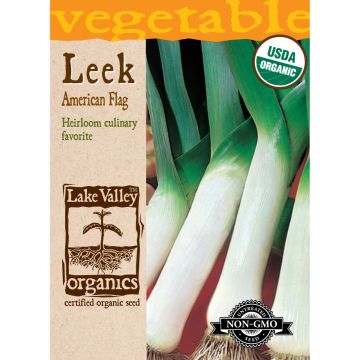 Allium, Leek 'American Flag' Organic Heirloom