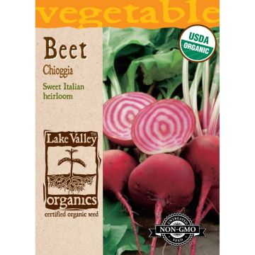 Beta, Beet 'Chioggia' Organic Heirloom