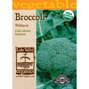 Brassica, Broccoli 'Waltham 29' Organic Heirloom
