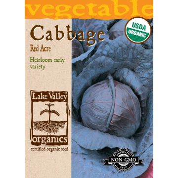 Brassica, Cabbage 'Red Acre' Organic Heirloom