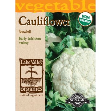 Brassica, Cauliflower 'Early Snowball' Organic Heirloom