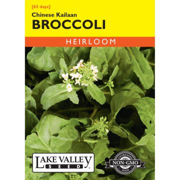 Brassica, Chinese Broccoli 'Kailaan' Heirloom