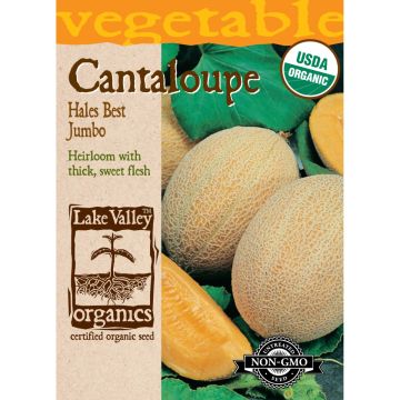 Cucumis, Cantaloupe 'Hales Best Jumbo' Organic Heirloom