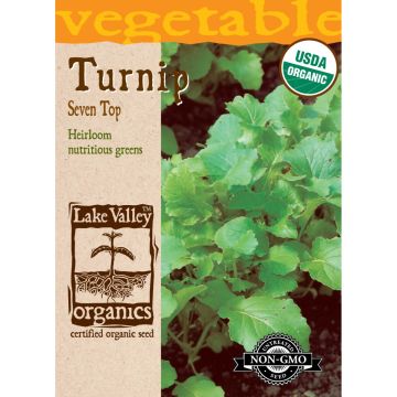 Brassica, Turnip Tops 'Seven Top' Organic Heirloom