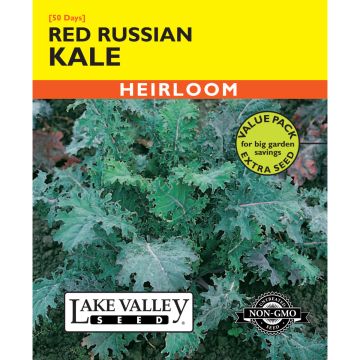 Brassica, Kale 'Red Russian' Heirloom Value Pack