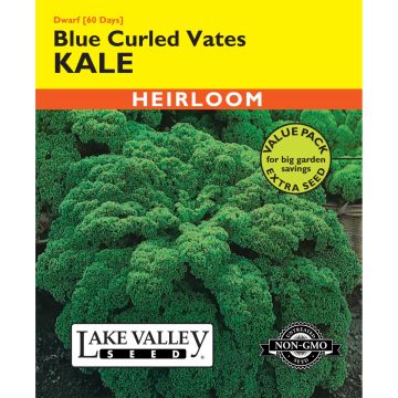 Brassica, Kale 'Blue Curled Vates' Heirloom Value Pack