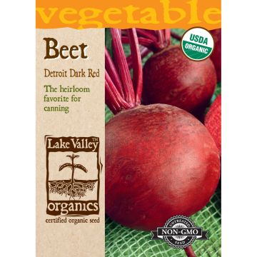 Beta, Beet 'Detroit Dark Red' Organic Heirloom
