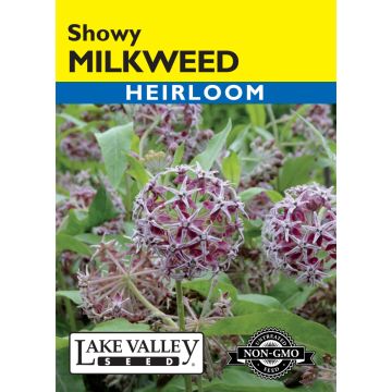 Asclepias, Showy Milkweed (Western Native) Heirloom