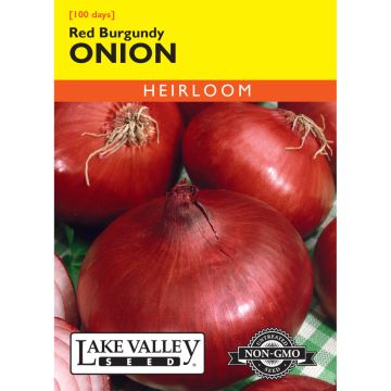 Allium, Red Onion (Short Day) 'Red Burgundy' Heirloom