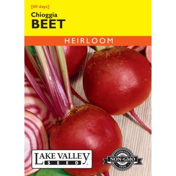 Beta, Beet 'Chioggia' Heirloom