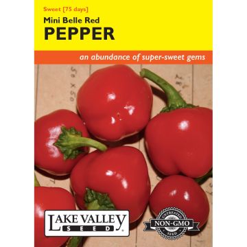 Capsicum, Sweet Pepper 'Mini Belle'