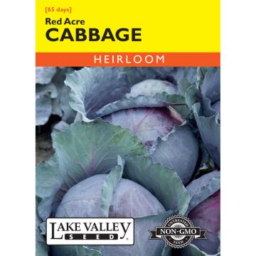Brassica, Cabbage 'Red Acre' Heirloom