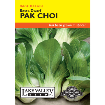 Brassica, Pak Choi/Bok Choy 'Extra Dwarf' Hybrid