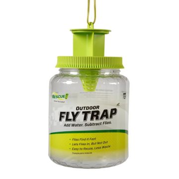 RESCUE! Fly Trap, 1 pk