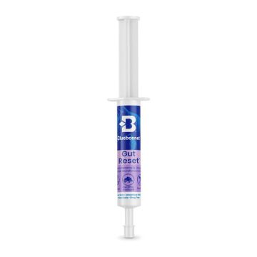 Bluebonnet® Gut Reset Paste - Single