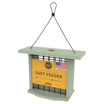 Birds Choice Plastic Suet Bird Feeder Sage
