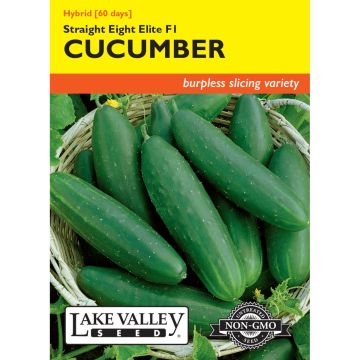 Cucumis, Cucumber Burpless 'Straight Eight Elite' Hybrid