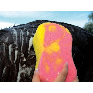 Professional's Choice Tail Tamer Tye-Dye Sponge