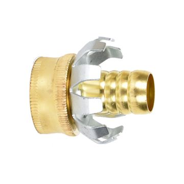 Brass Clincher, Female