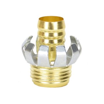 Brass Clincher, Male