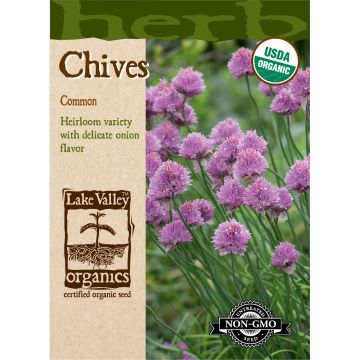 Allium, Chives 'Common' Organic Heirloom