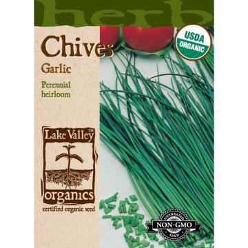 Allium, Garlic Chives Organic Heirloom