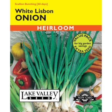 Allium, Scallion Onion 'White Lisbon Bunching' Heirloom Value Pack