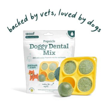 Woof Pupsicle Treat Mix Doggy Dental Mix