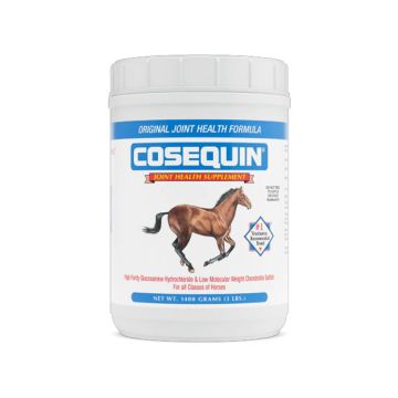 COSEQUIN® Original Joint Health Formula Supplement Powder