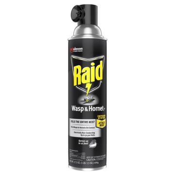 Raid® Wasp and Hornet Killer Spray 17.5 oz