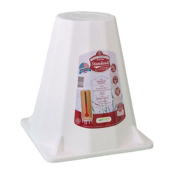 Gardien Rose Cone Standard