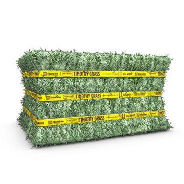 Standlee Premium Western Forage Certified Timothy Grass Compressed Hay Bale 50 lb.