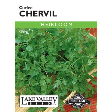 Anthriscus, Chervil 'Curled' Heirloom