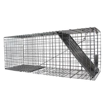 Havahart Large Live Catch Cage Trap For Cats and Raccoons, 1 pk