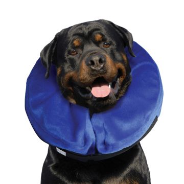 KONG® Cloud™ Collar