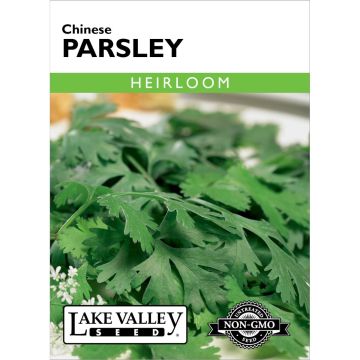 Coriandrum, Cilantro 'Chinese Parsley' Heirloom
