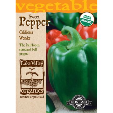 Capsicum, Sweet Bell Pepper 'California Wonder' Organic Heirloom