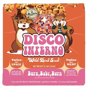 Mr. Bird Disco Inferno Small Cake