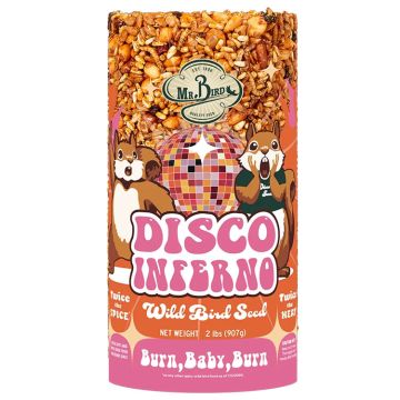 Mr. Bird Disco Inferno Small Cylinder