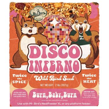 Mr. Bird Disco Inferno Large Cake