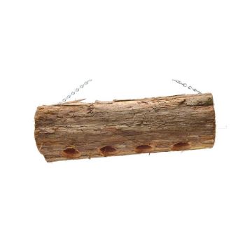 Songbird Essentials Woodpecker Cedar Suet Bird Feeder 4 ports