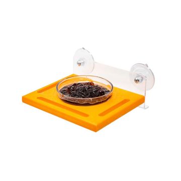 Songbird Essentials Oriole Plastic Window Feeder